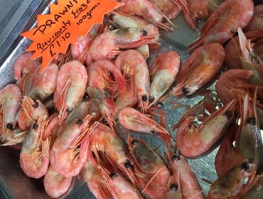 Prawns