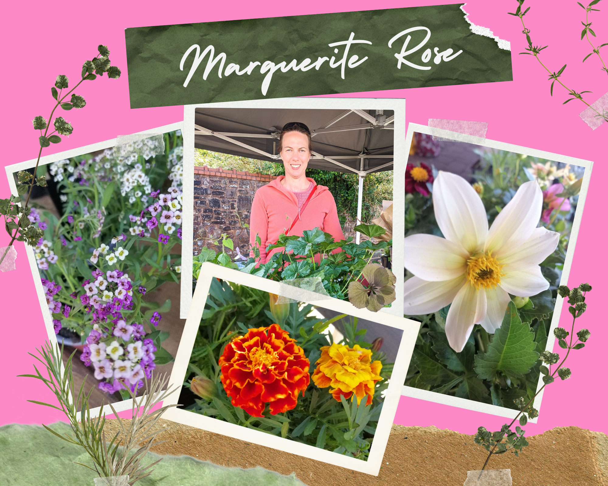 Marguerite Rose collage .png