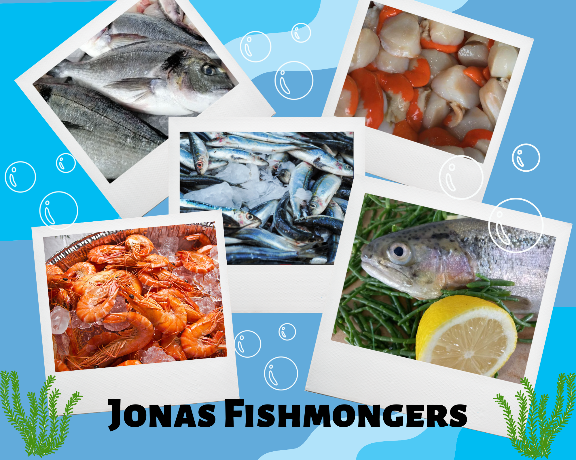 Jonas Fishmongers collage.png