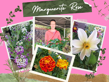 Marguerite Rose collage .png